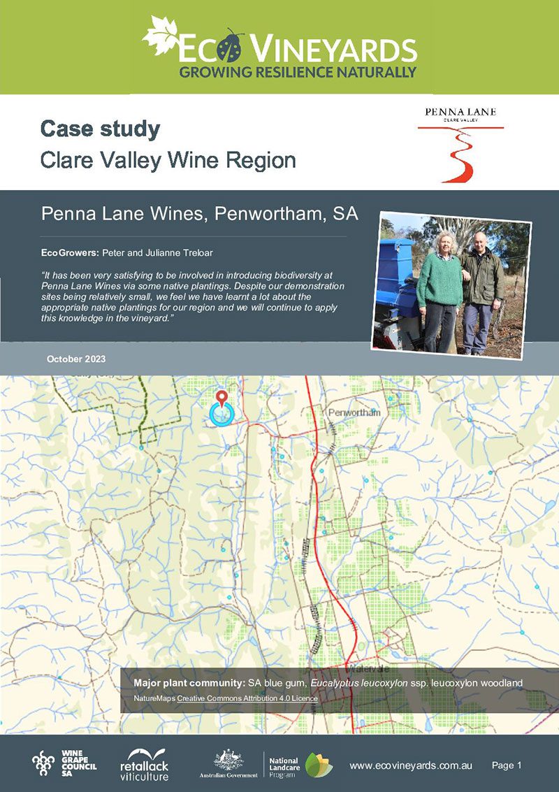 Front page of Penna Lane Wines Case Study