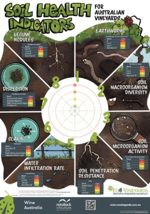 Soil Health Indicators Poster