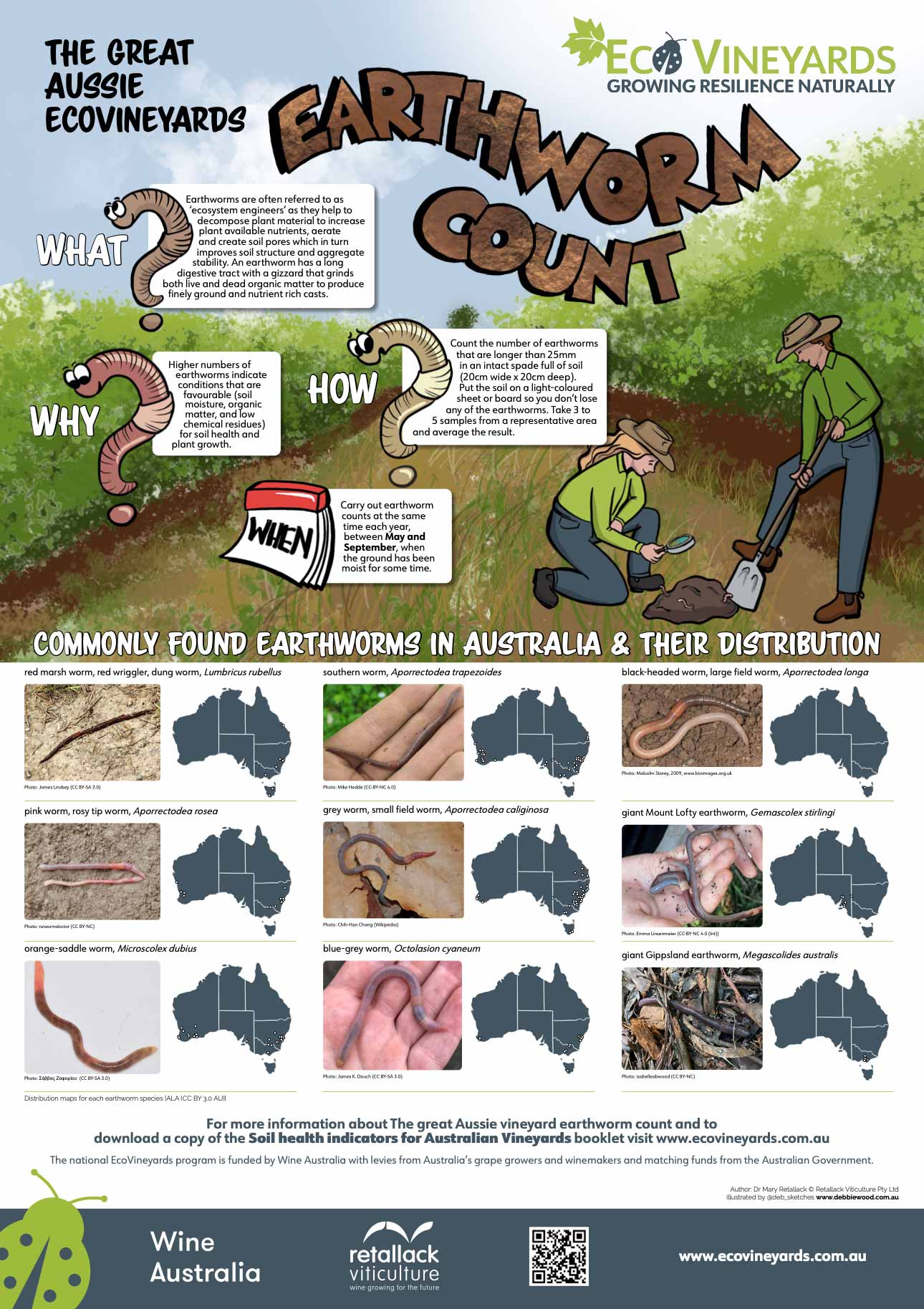 ‘The great EcoVineyards Aussie earth worm count' poster
