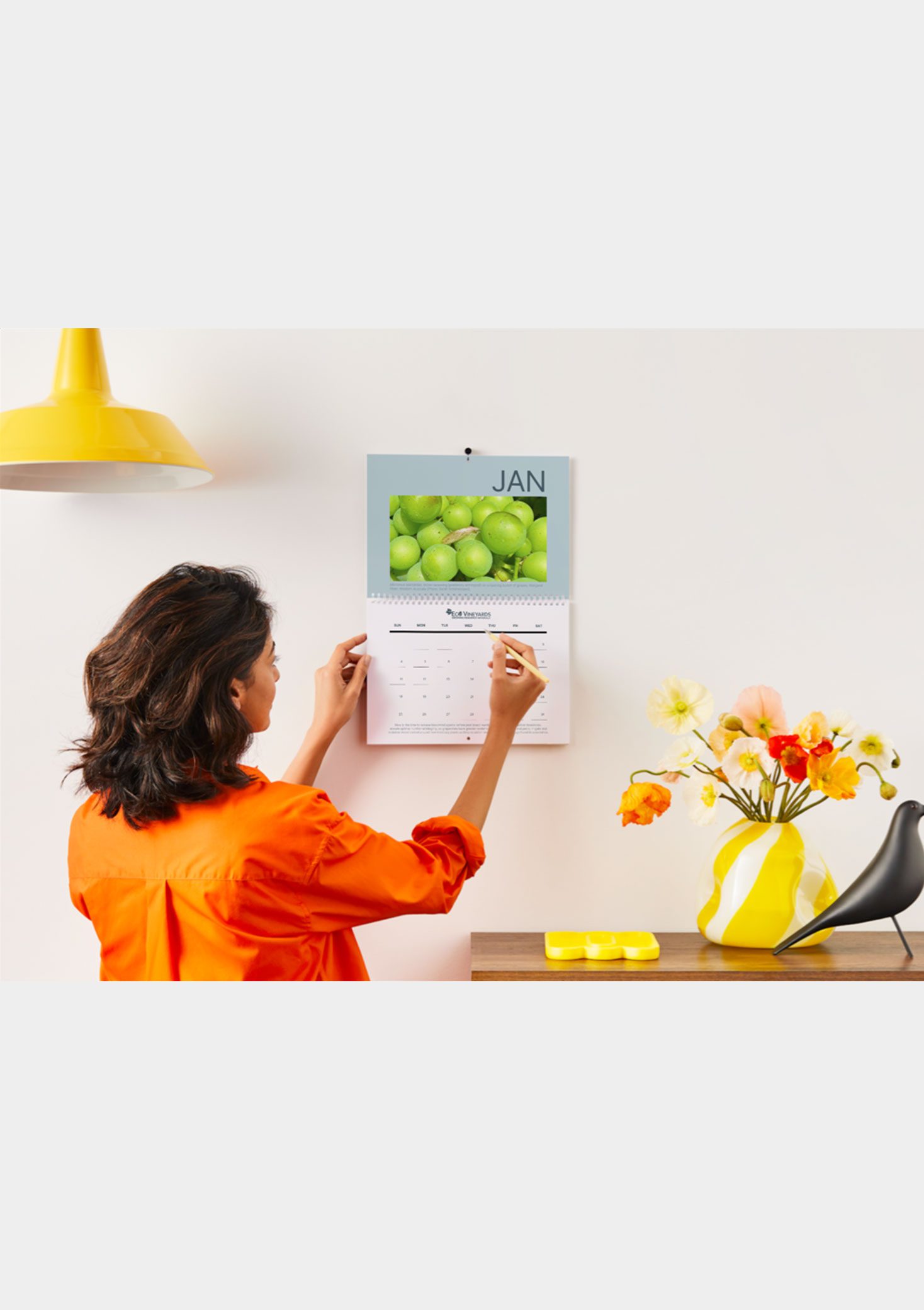 Woman using her 2026 EcoVineyards calendar - grey background